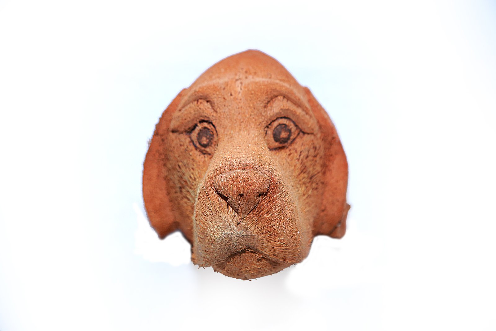 Coconut Shell Dog Face