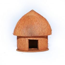 coconut house